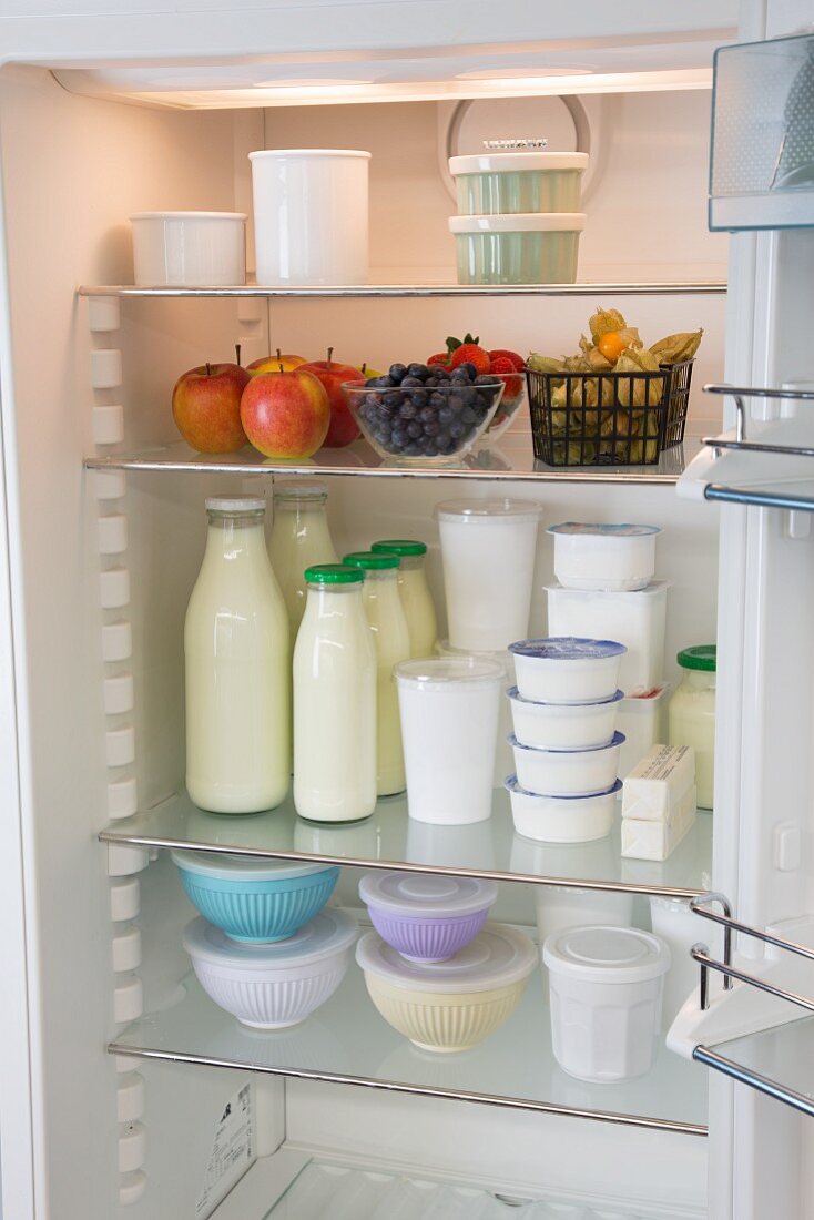 Lagern mit System - Vorratshaltung im Kühlschrank