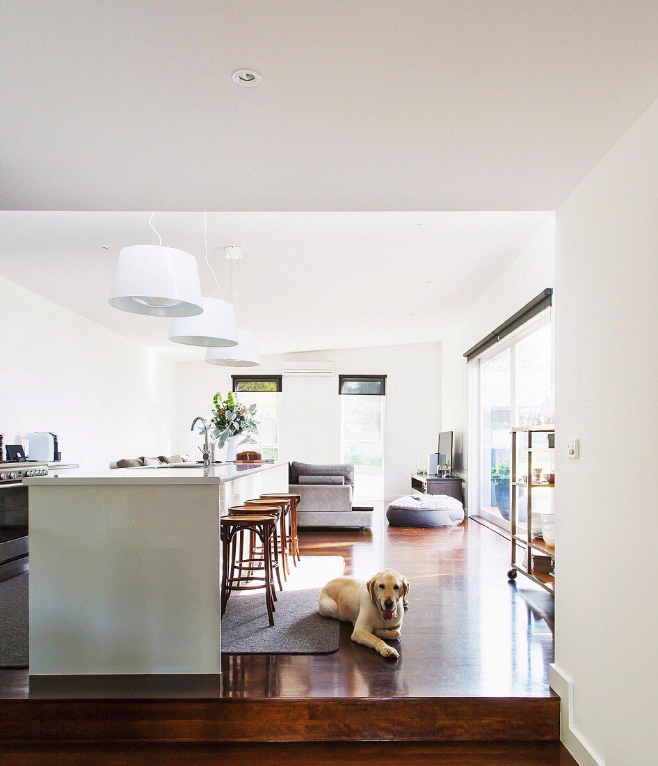 Kitchen island with bar stools in open split-level living area, dog on parquet floor