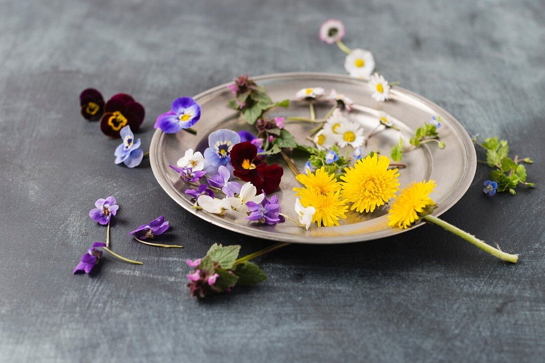 Edible flowers (dandelion, violet, viola, daisy, ground ivy)
