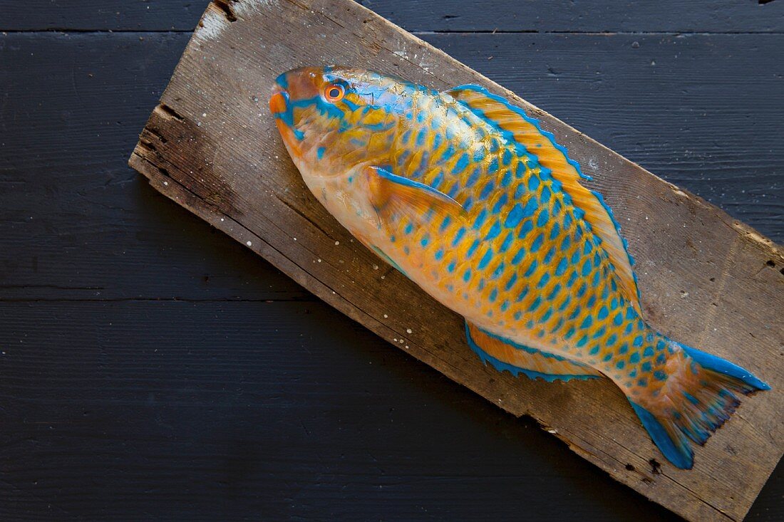 A fresh parrot fish on a wooden board
