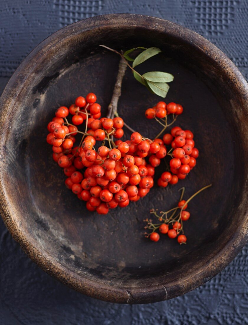 Rowan berries in a wooden bowl