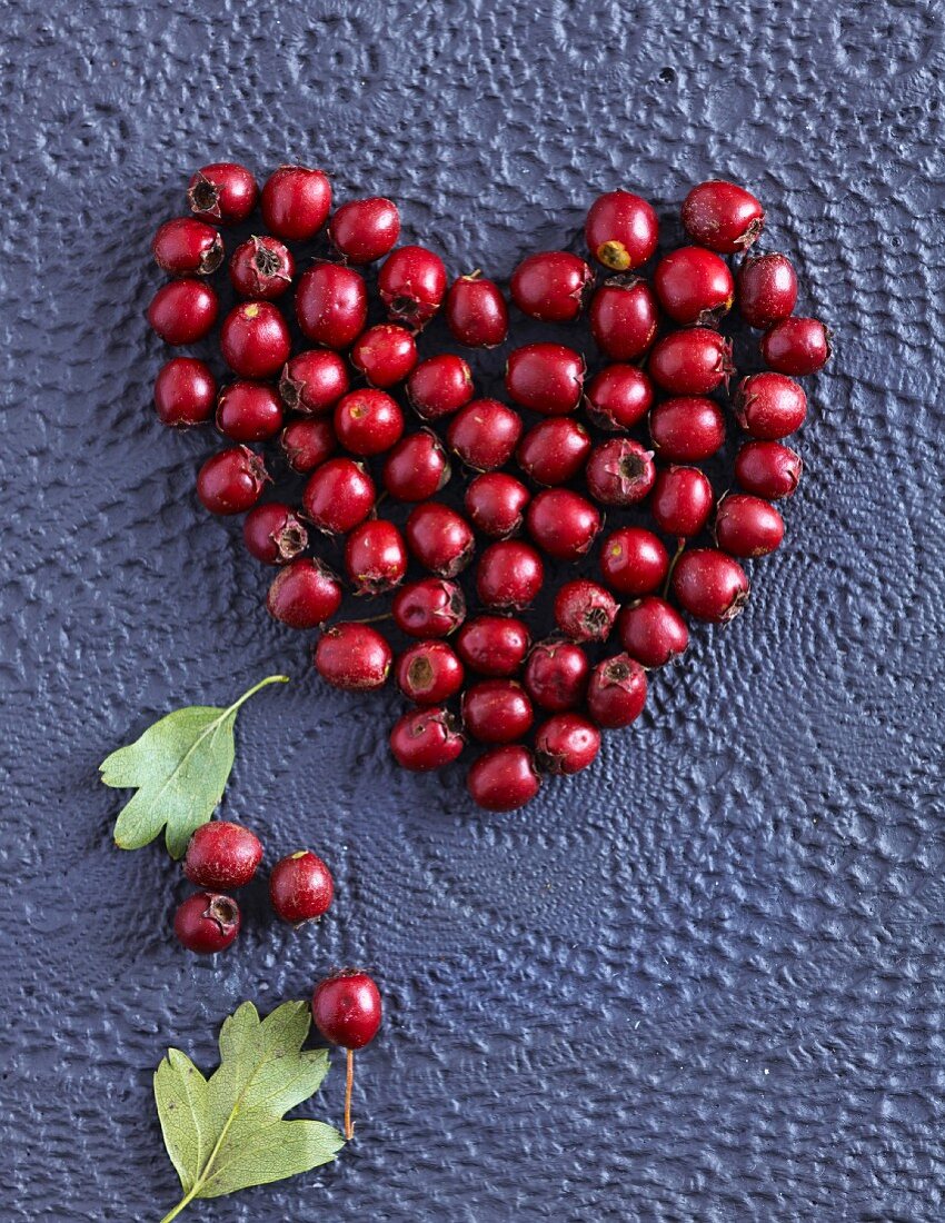 White thorn berries in a heart shape
