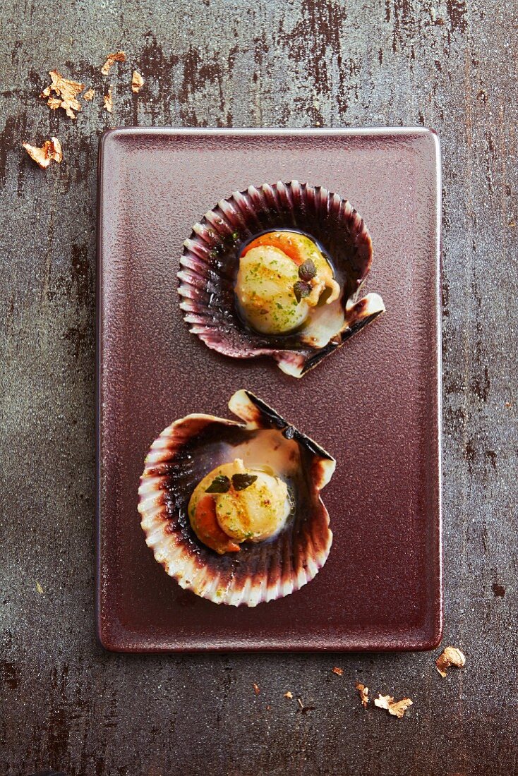 Grilled scallops (top view)