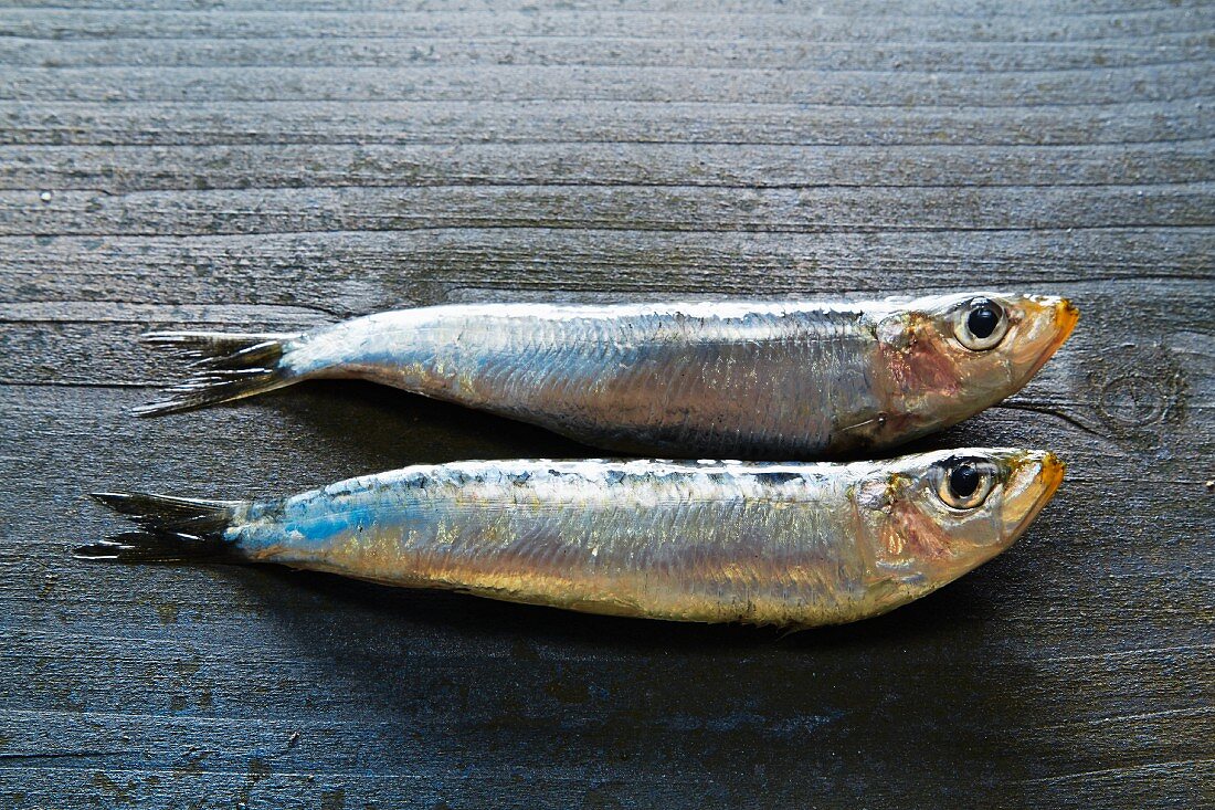 Two sardines on a grey wooden background