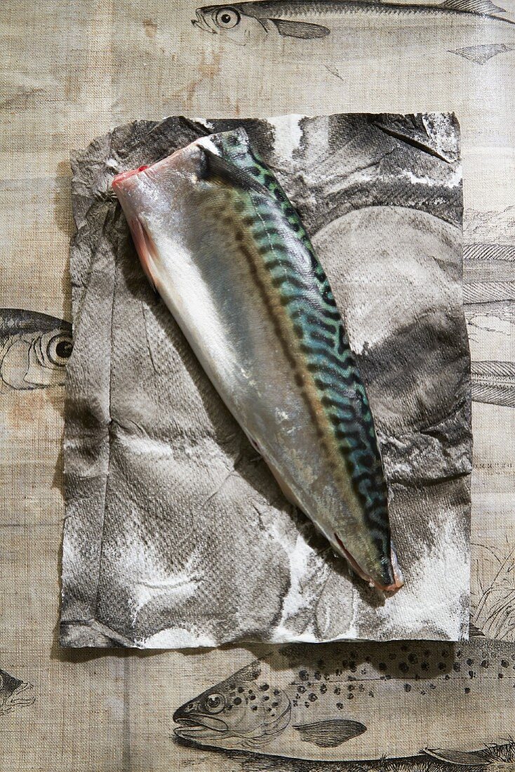 A raw mackerel on paper