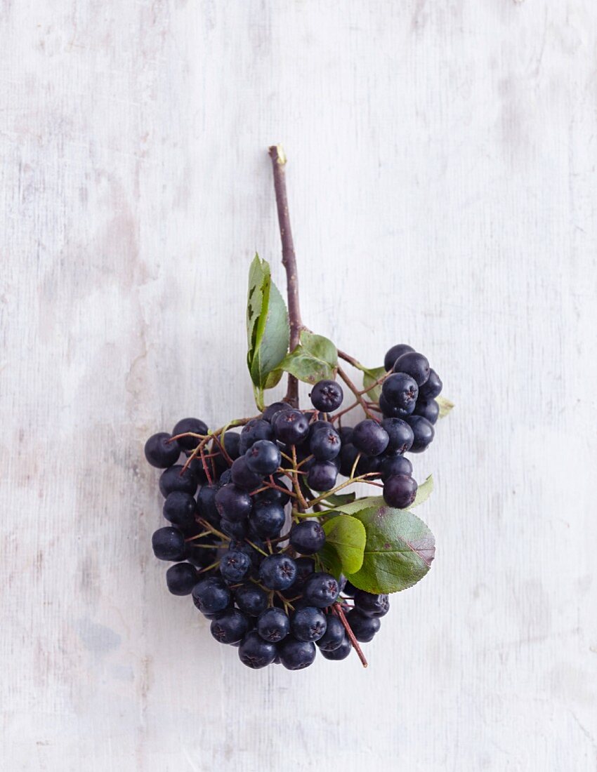 Aroniabeeren auf weißem Holzuntergrund