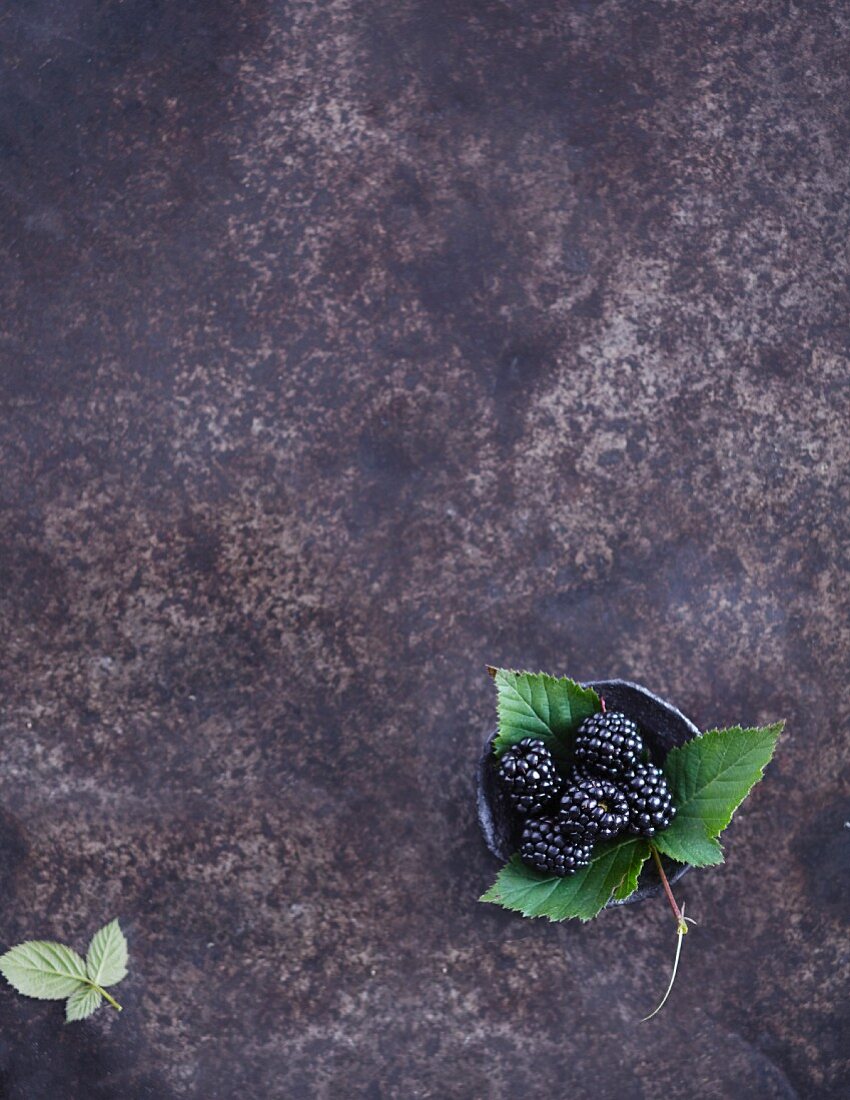 A bowl of blackberries on a vintage background