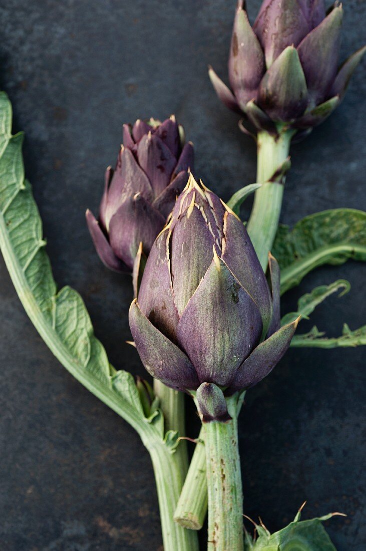 Artichokes (close-up)