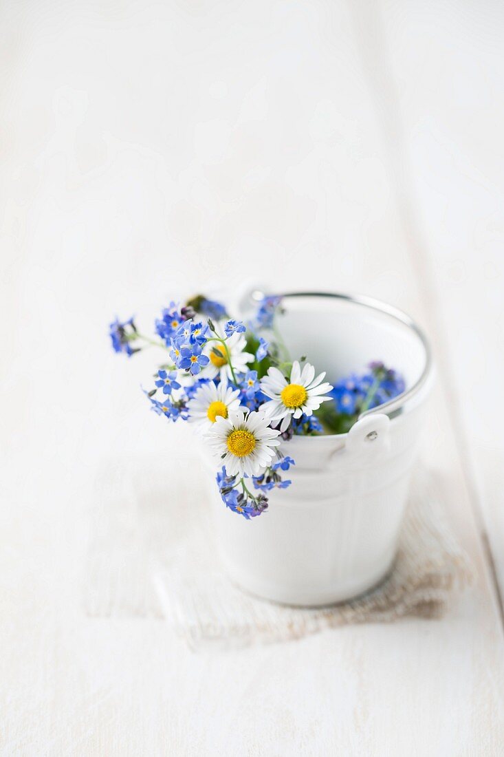 Vergissmeinnicht und Gänseblümchen in kleinem Keramikeimer