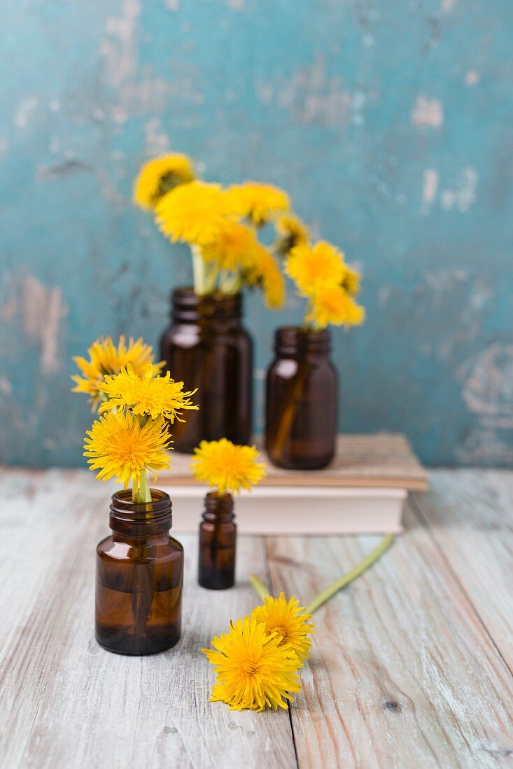 Dandelion flowers in small medicine bottles