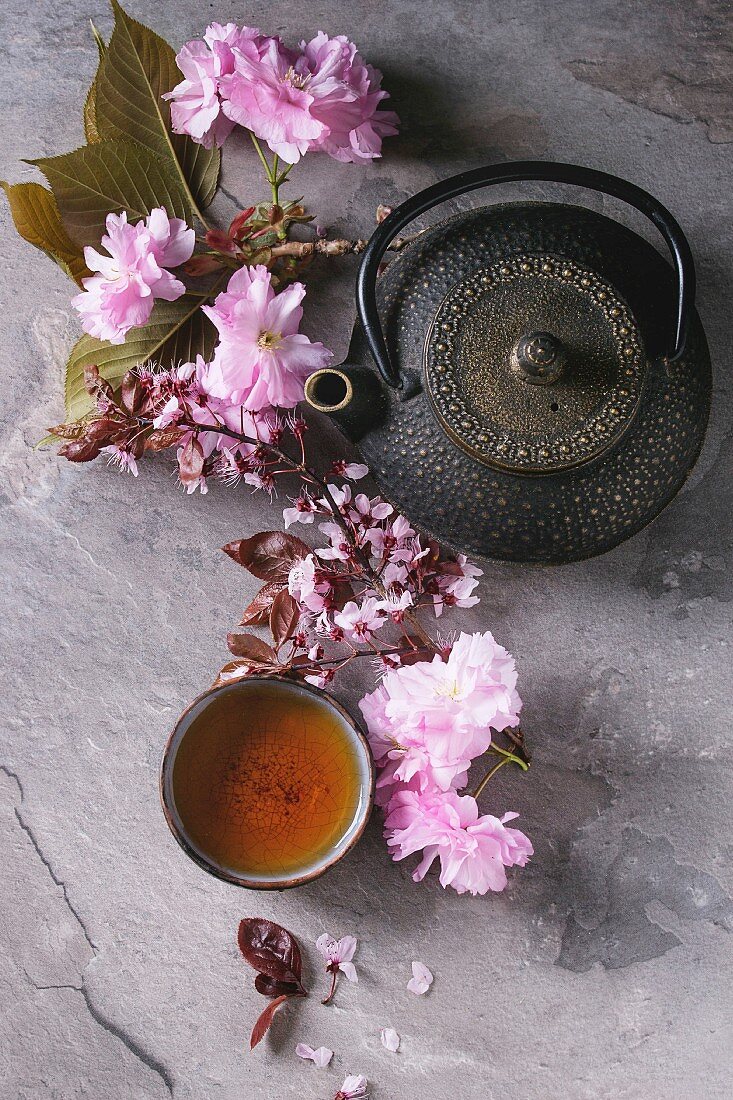 Black iron teapot and traditional ceramic cup of tea with blossom pink flowers cherry branch over gray texture background