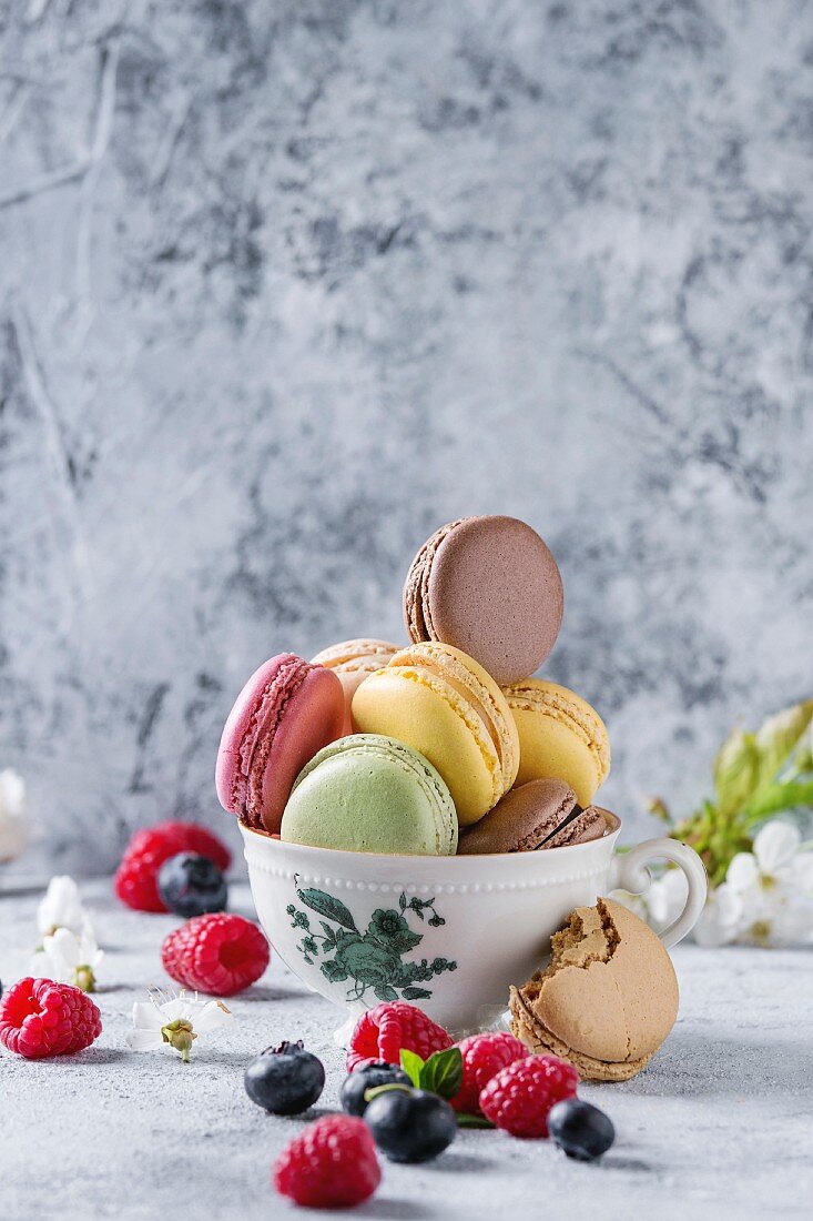 Variety of colorful french sweet dessert macarons with different fillings served in vintage tea cup with spring flowers and fresh berries