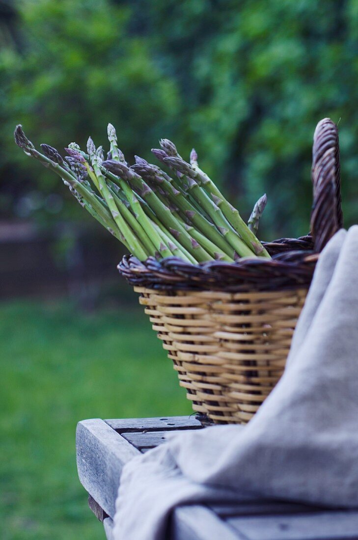 Fresh green asparagus in a wicker basket on a table outdoors
