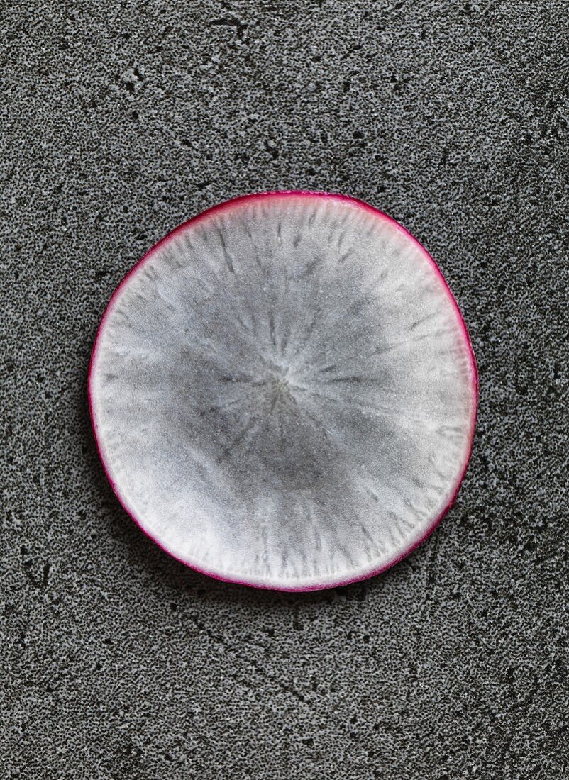 A slice of radish on a grey background (close-up)