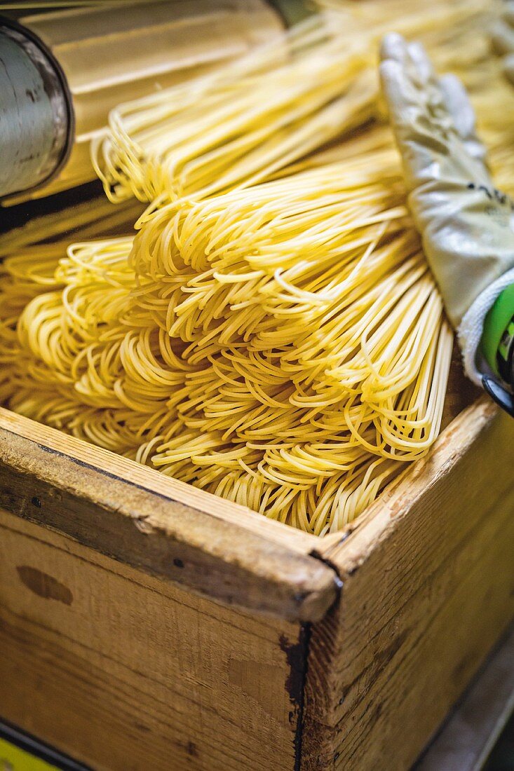 Handgemachte Spaghetti aus dem Familienbetrieb Martelli, Toskana, Italien