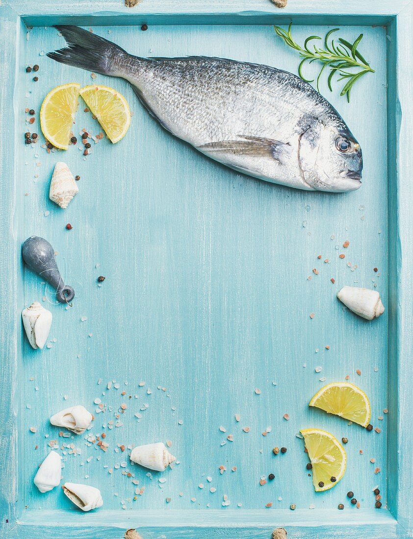 Fresh Sea bream or dorado raw uncooked fish with seasoning and lemon slices over turquoise blue tray background