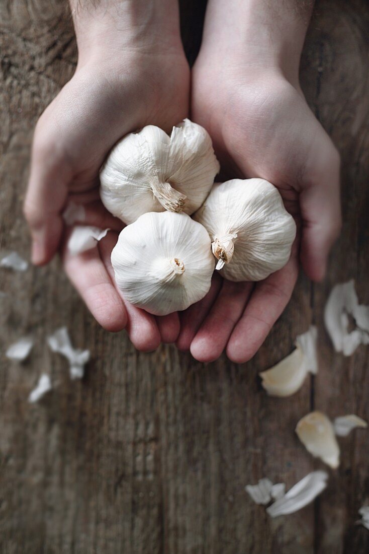 Hands holding three garlic bulbs