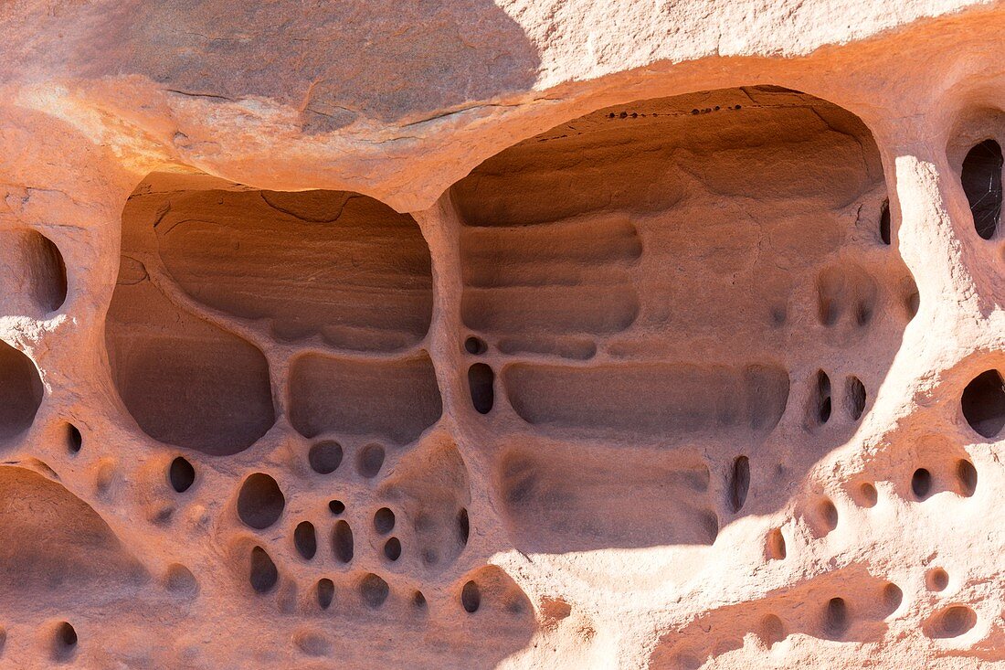 Tafoni weathering in sandstone