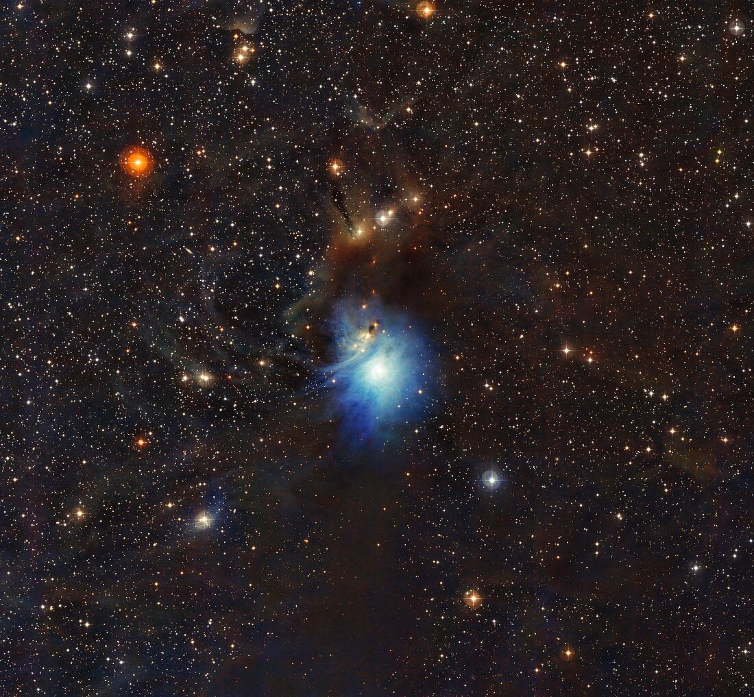 Reflection nebula IC 2631, composite image