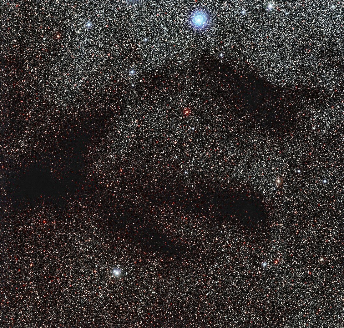 Dark nebula LDN 1768, optical image