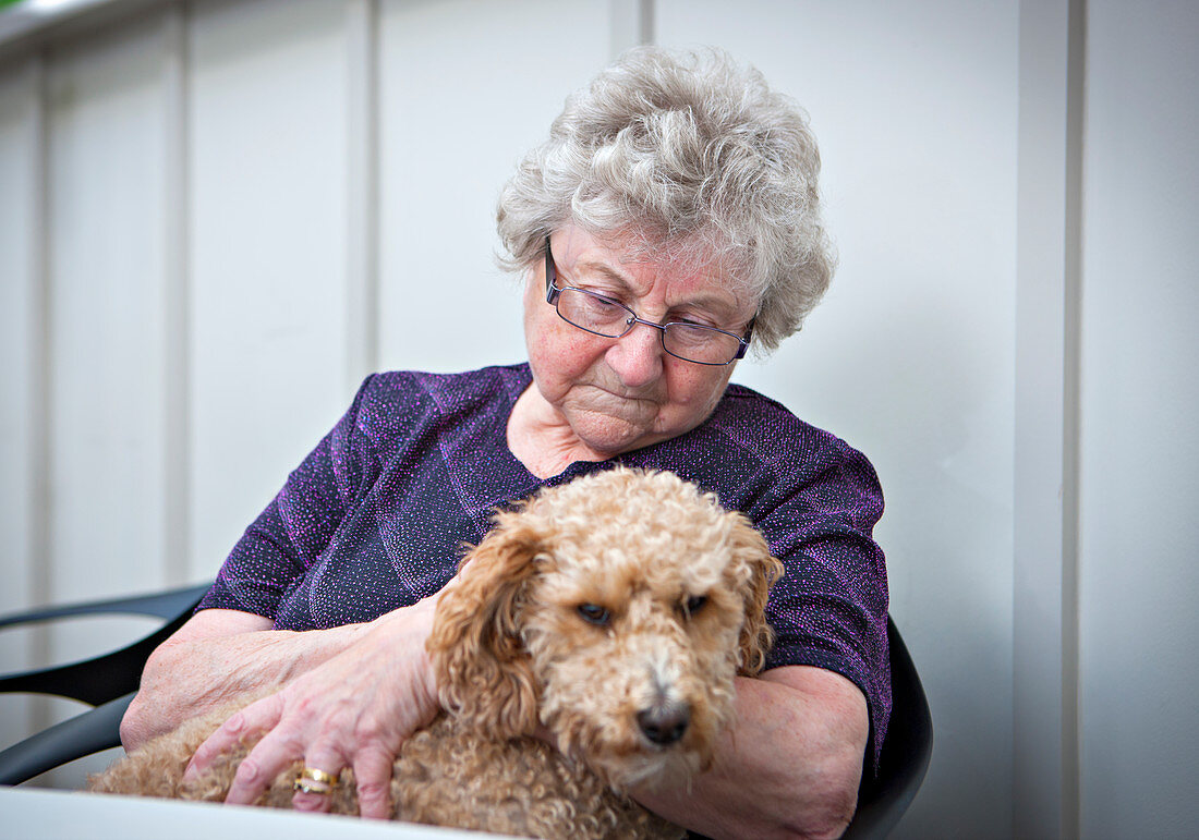 Dementia animal therapy