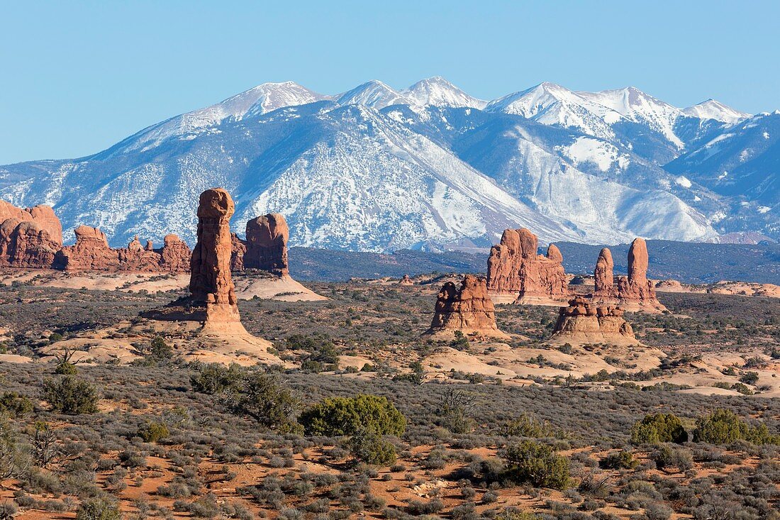 Sandstone towers and La Sal mountains, Utah, USA