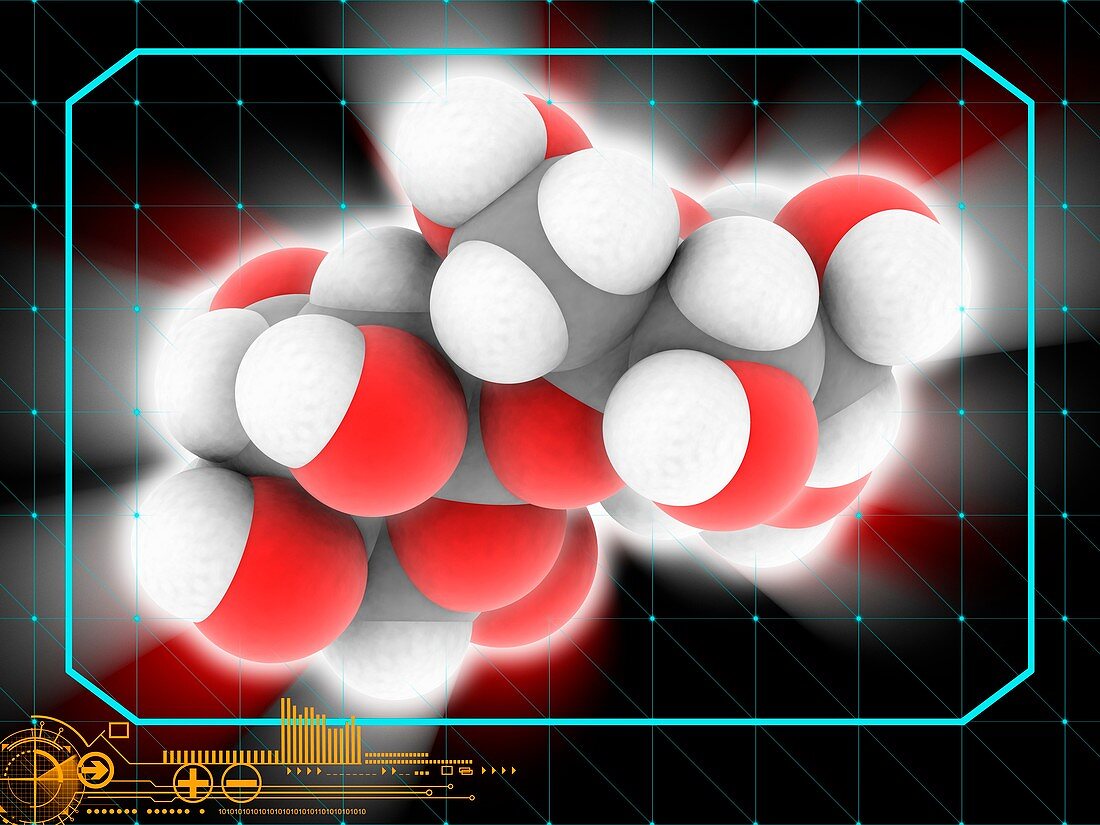 Sucrose molecule