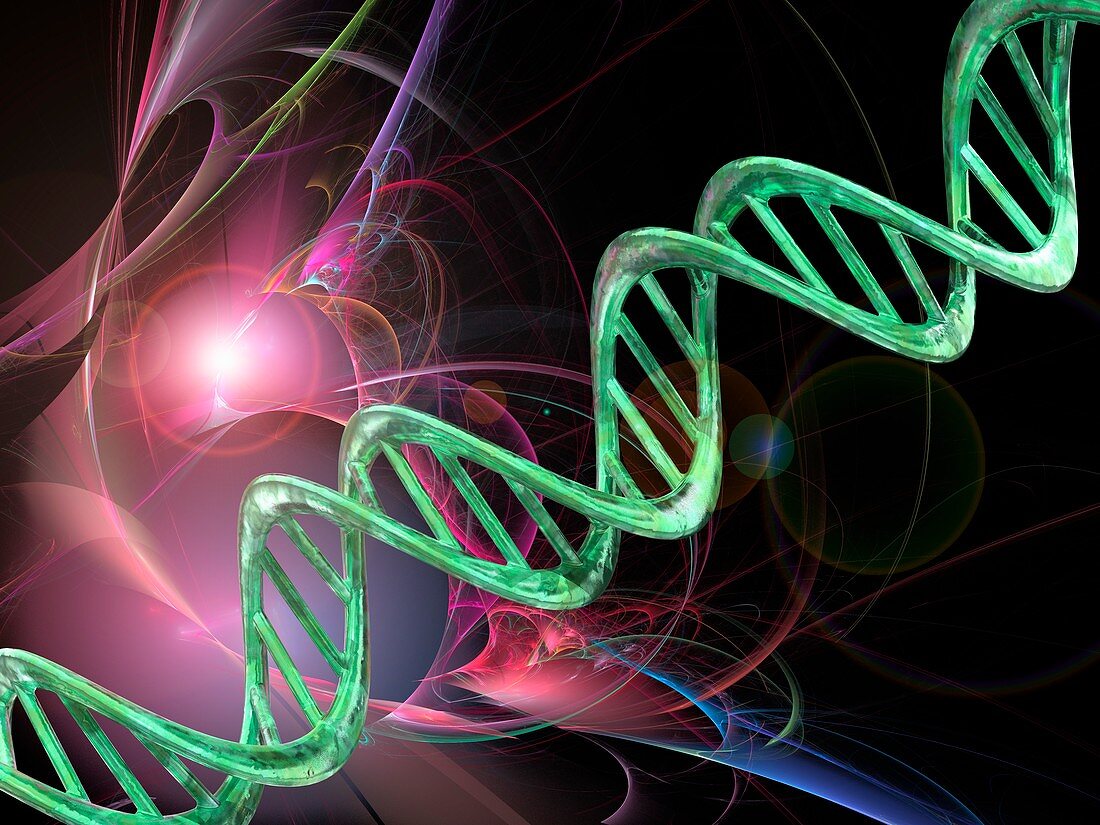 DNA molecule, computer illustration