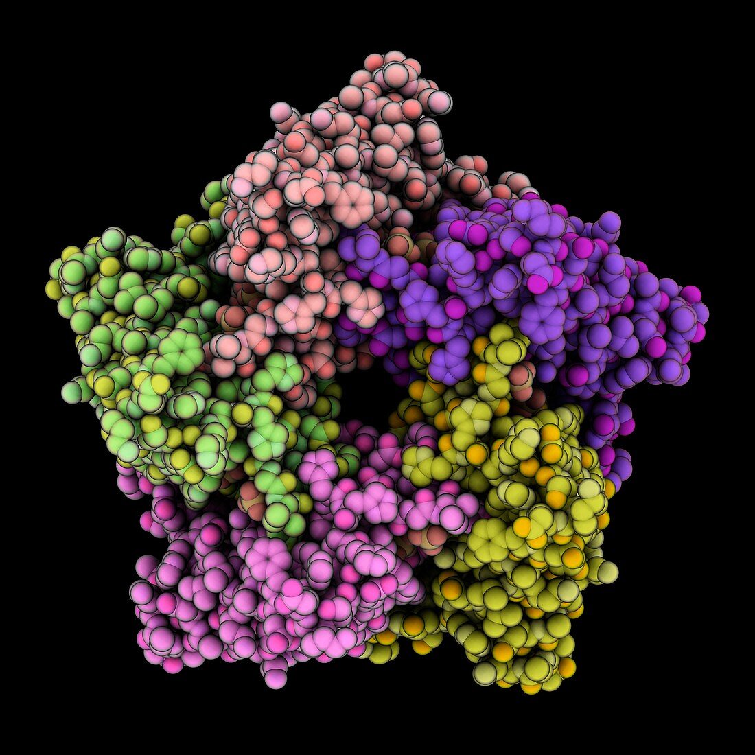 Lumazine synthase molecule