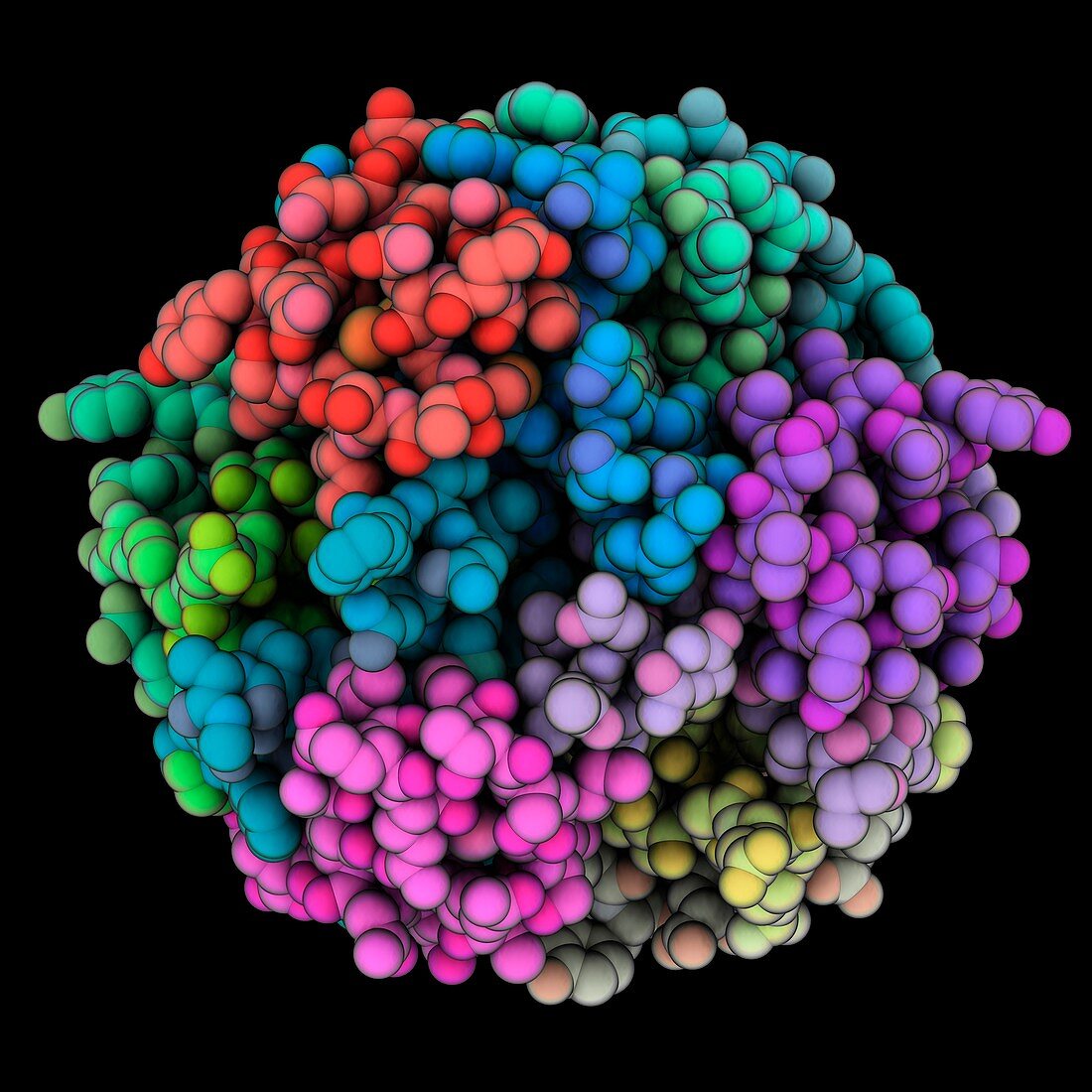 Human insulin molecule