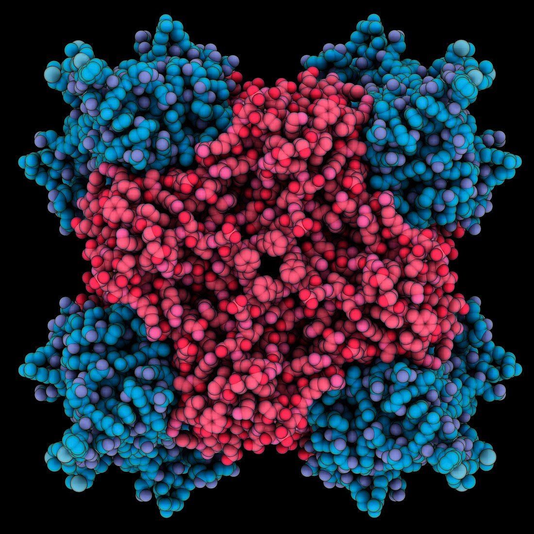 Human dynamin PH domain