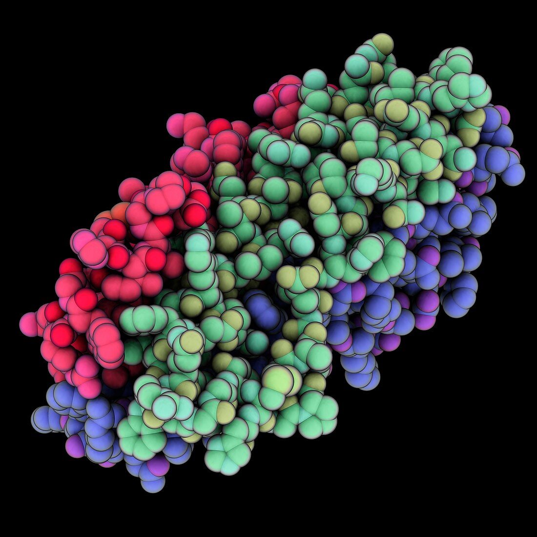 Ebola virus glycoprotein GP2