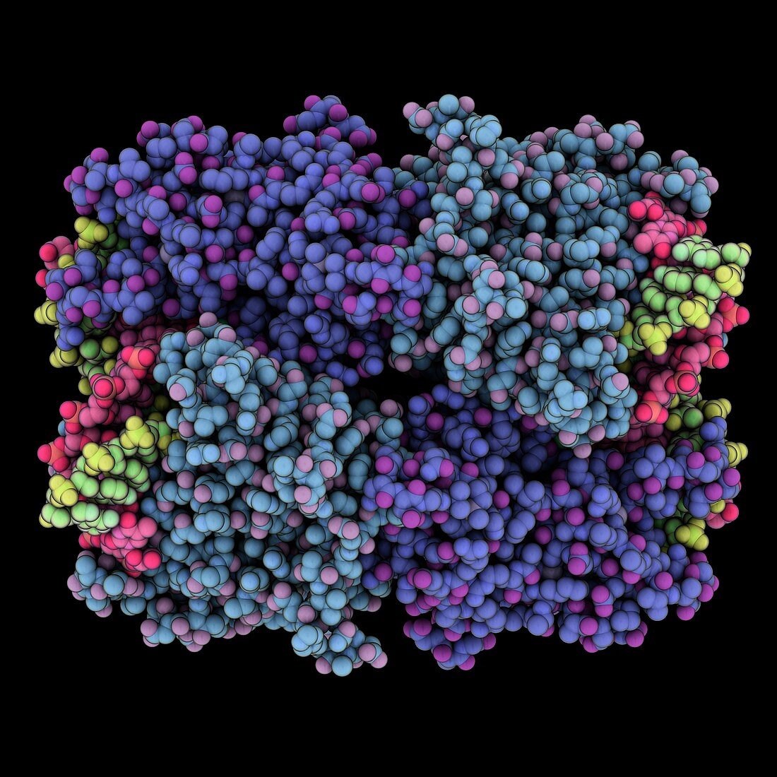 Endonuclease complexed with cognate DNA