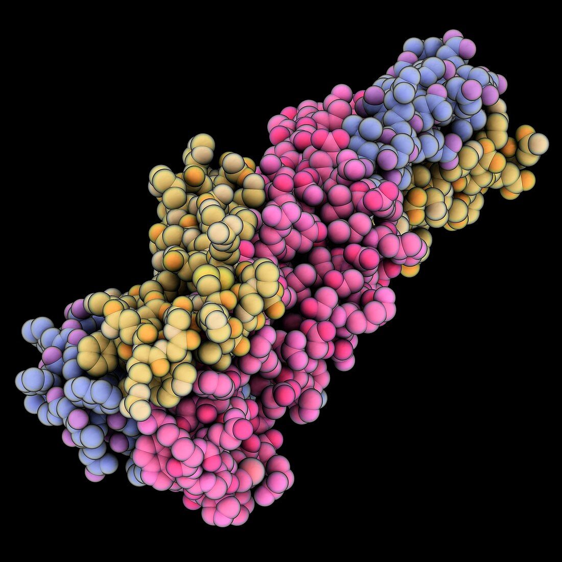 Ebola virus membrane fusion subunit GP2