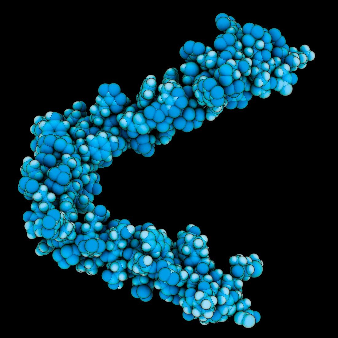 HIV-1 regulatory protein Vpr
