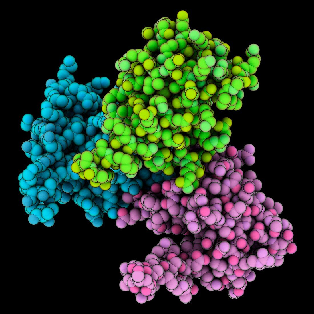 Trimeric HIV-1 matrix protein