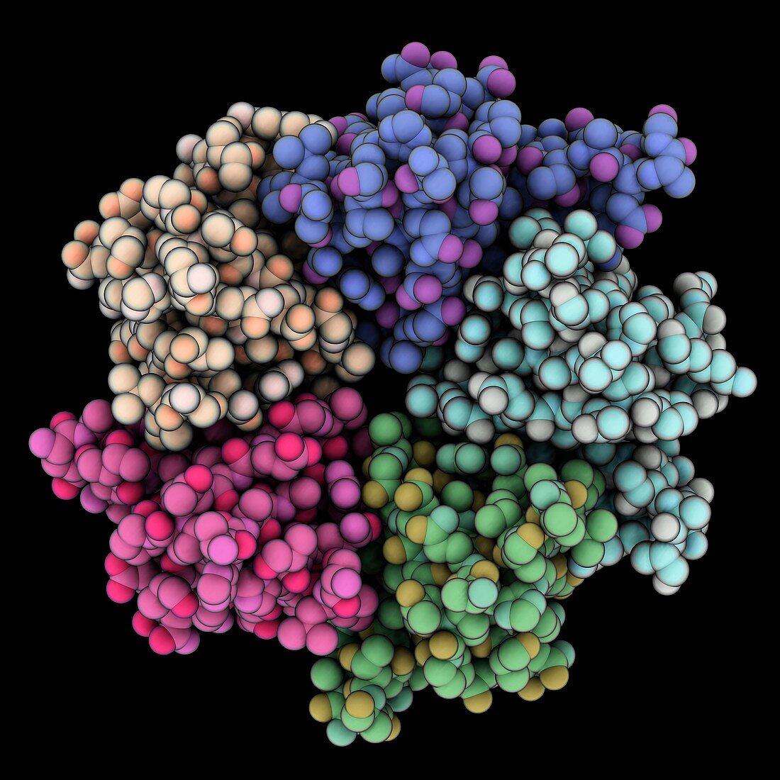 Nucleoplasmin-core molecule