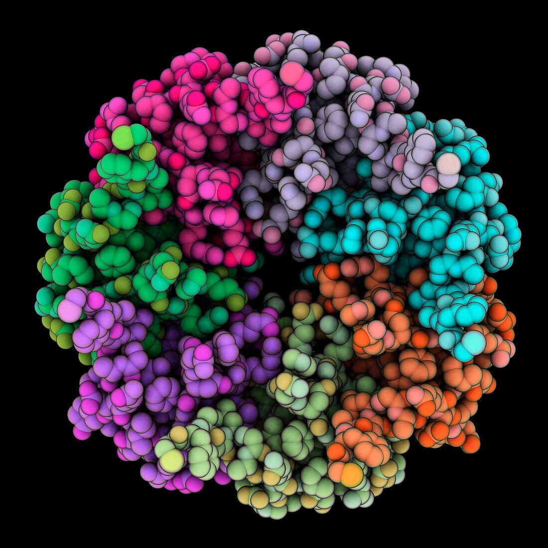 Sm-like archaeal protein