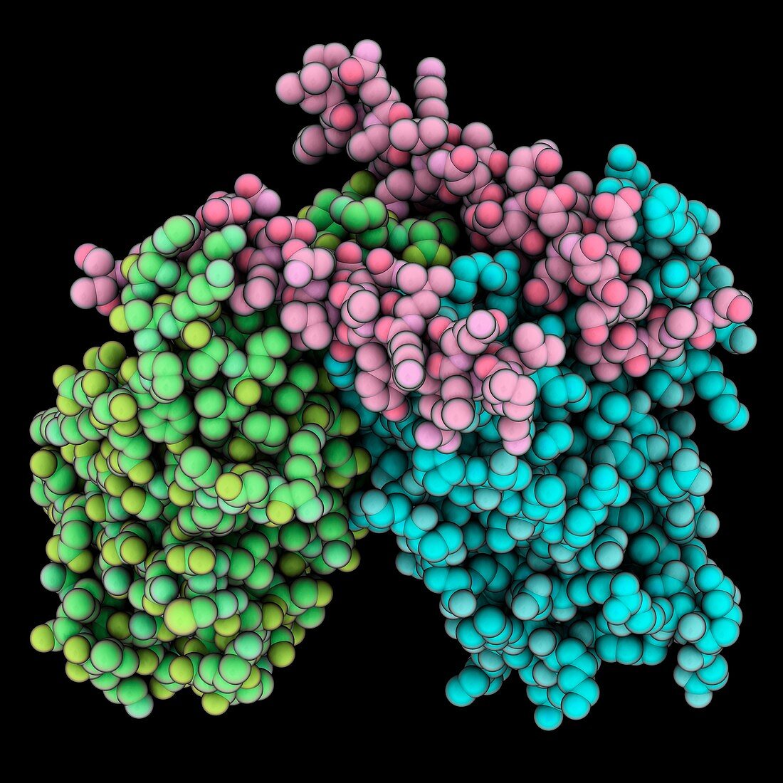 Yeast telomere protein complex