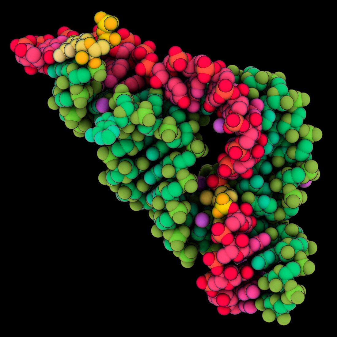 Hammerhead ribozyme molecule