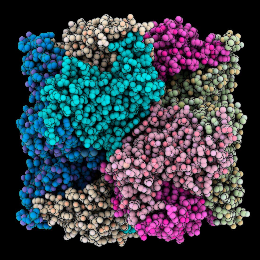 Protein with tetrahedral symmetry