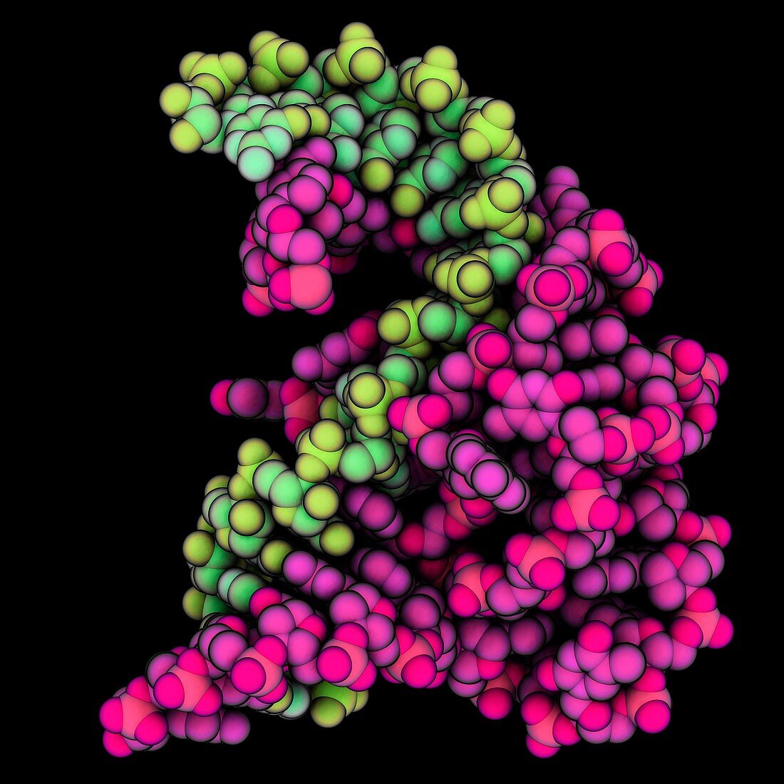 DNA catalyst complex