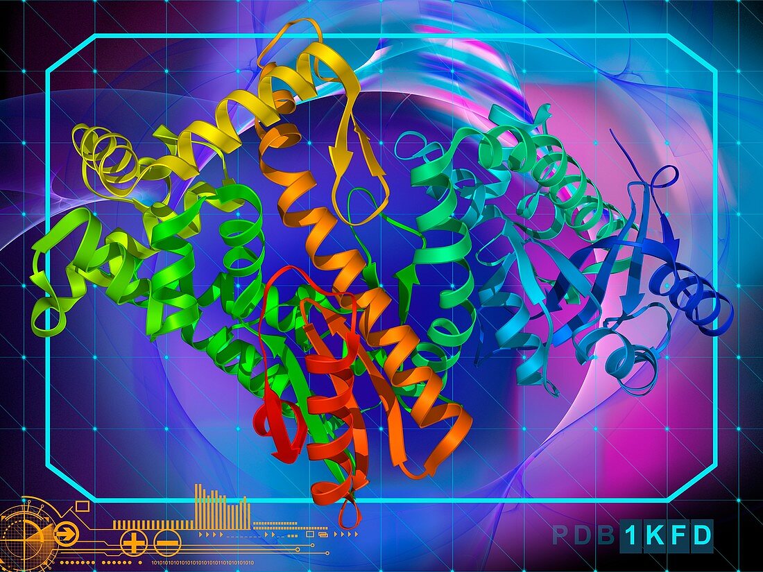 DNA polymerase Klenow fragment