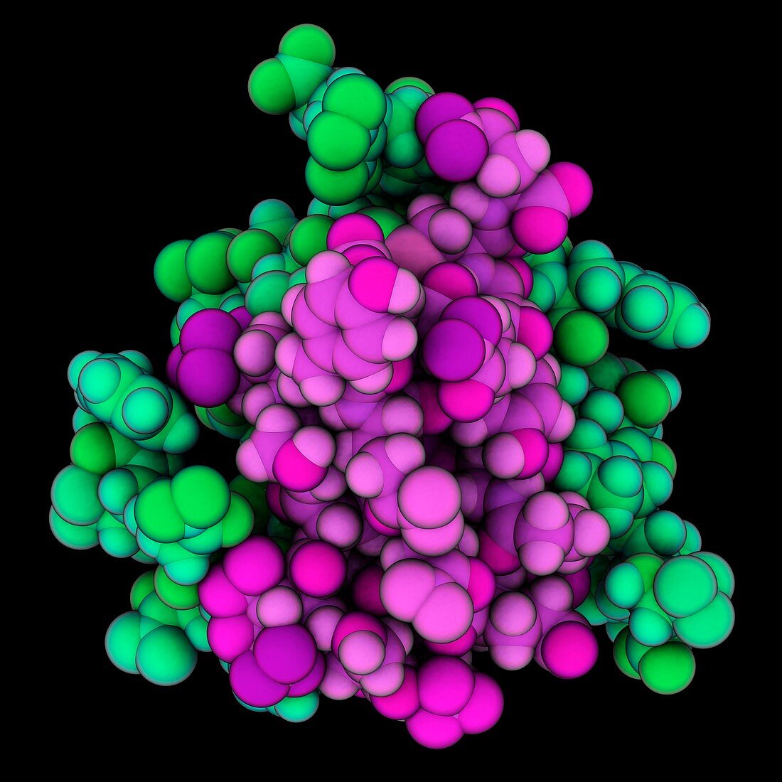 Human insulin isomer molecule