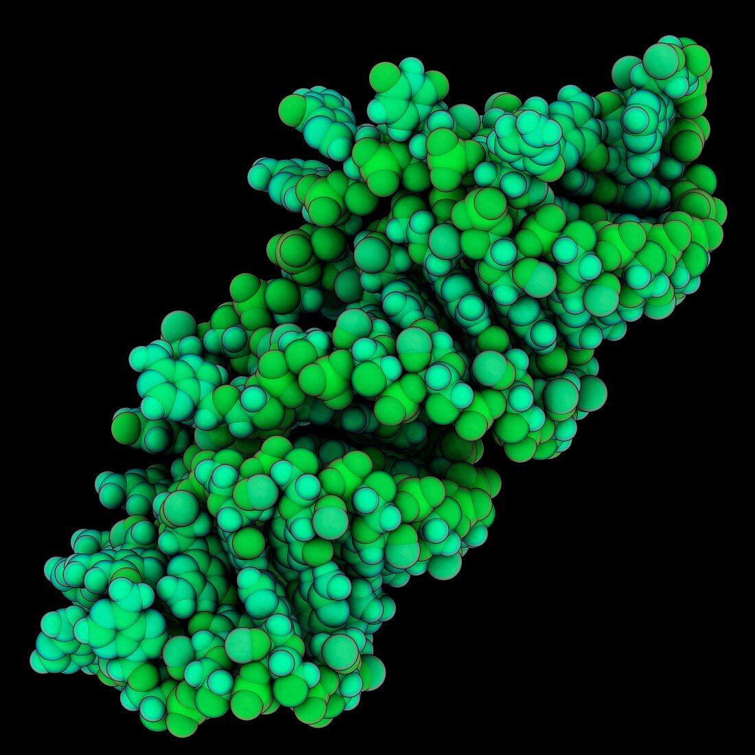 Retroviral RNA