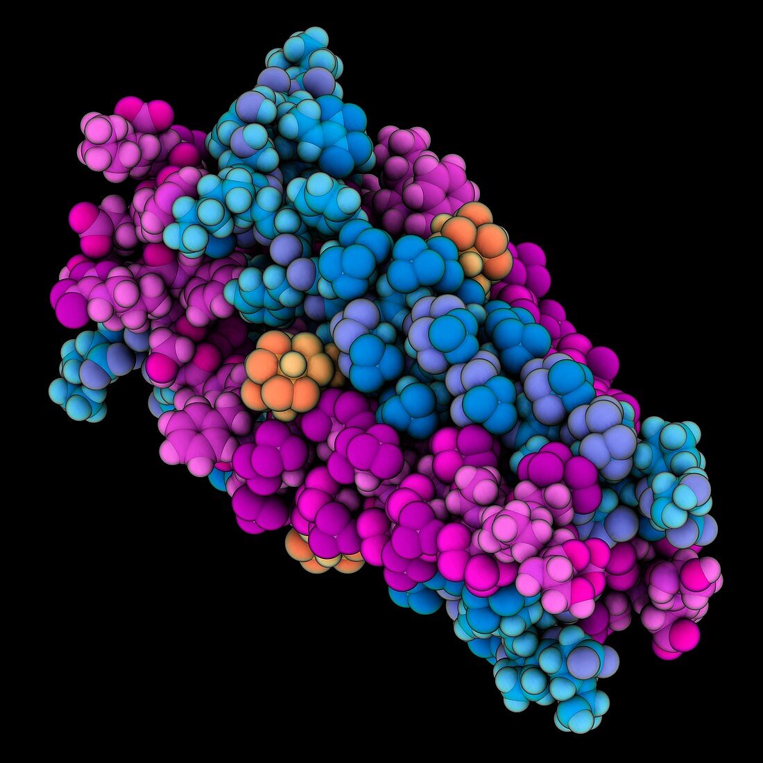 Influenza A proton channel complex
