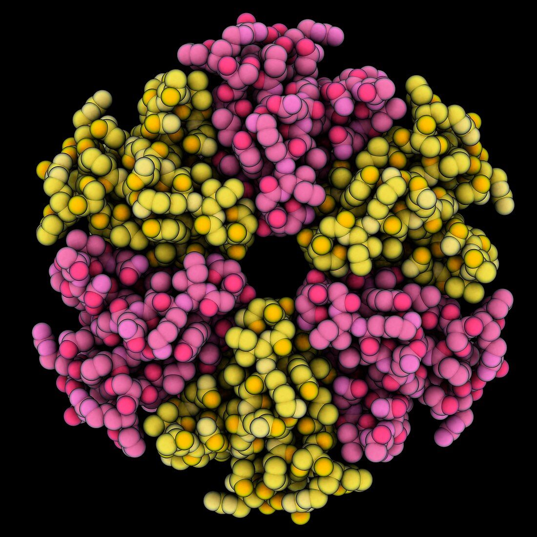 Riboregulator Hfq molecule