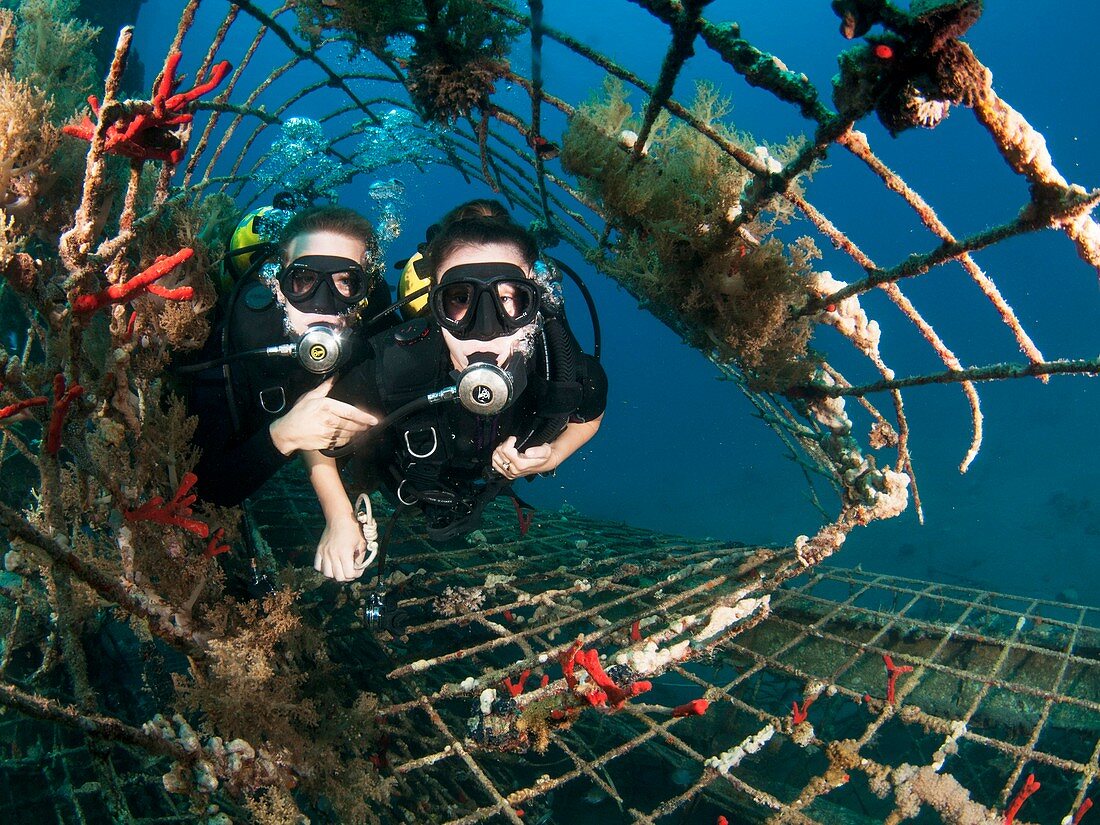 Israeli Navy divers