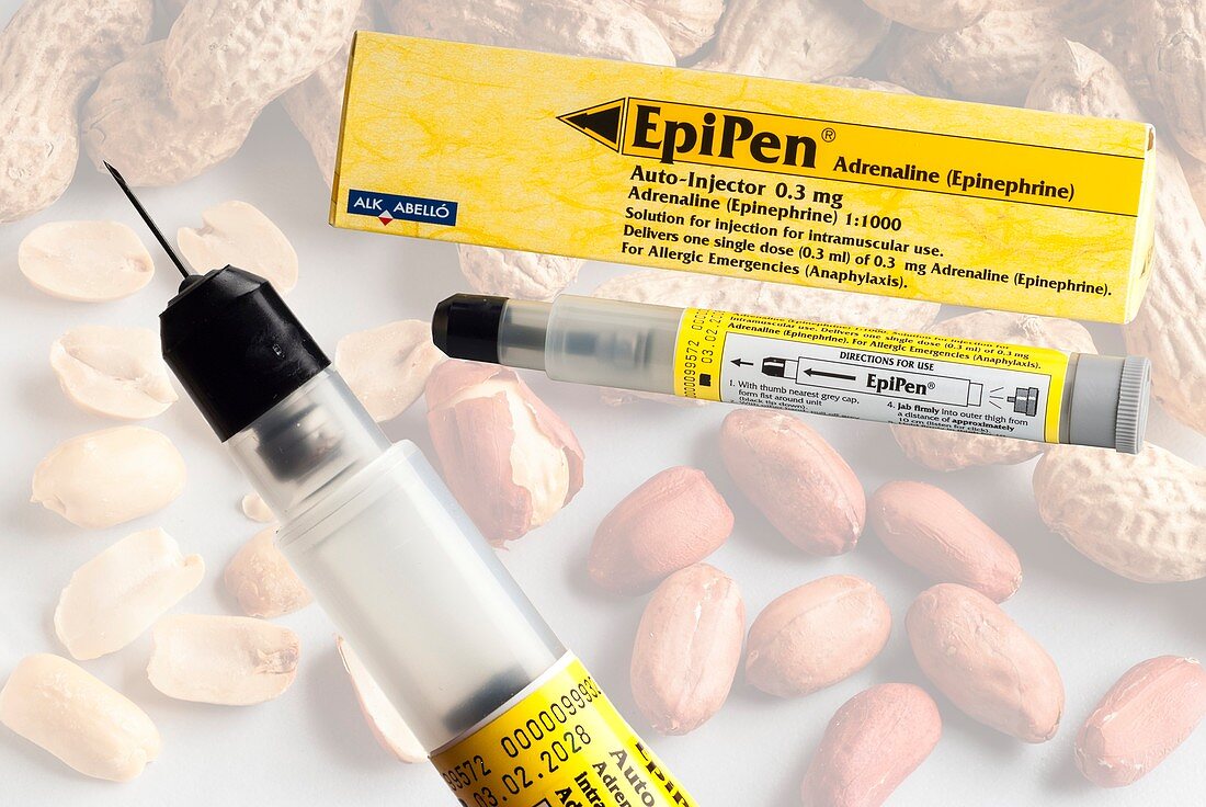 EpiPen adrenaline syringe and packaging.