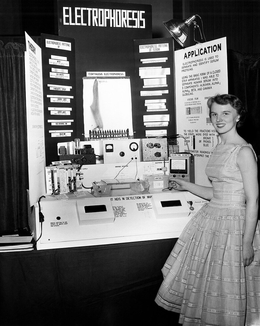 Taimi Toffer Anderson, 1956 US science competition winner